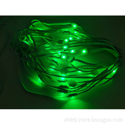 Outdoor Holiday LED Point Lights for Christmas Decorations